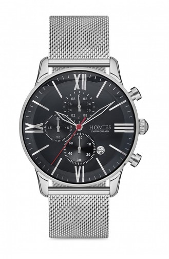 Montre Gris argenté 1069