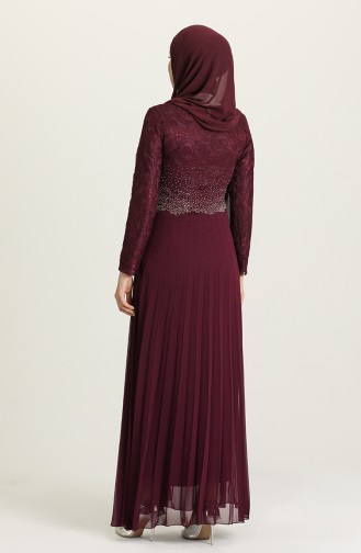 Plum Hijab Evening Dress 3030-03