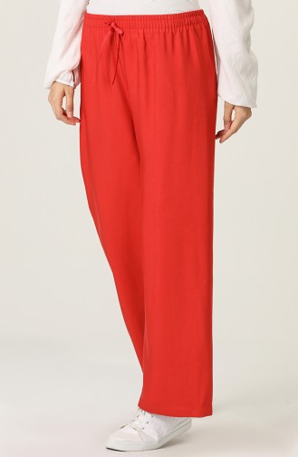 Claret Red Pants 4502-01