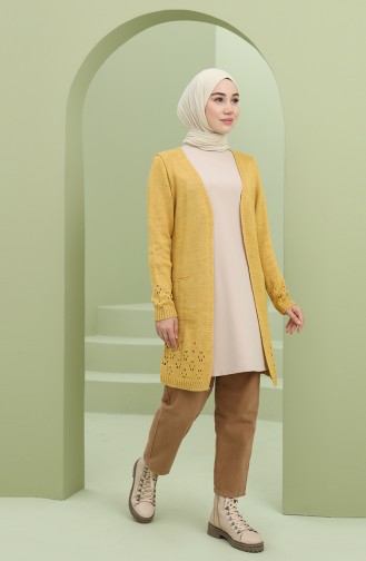 Mustard Cardigans 2011-05