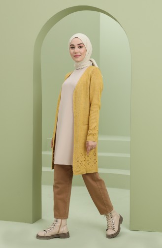 Mustard Cardigans 2011-05