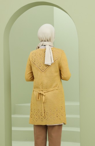 Mustard Cardigans 2011-05