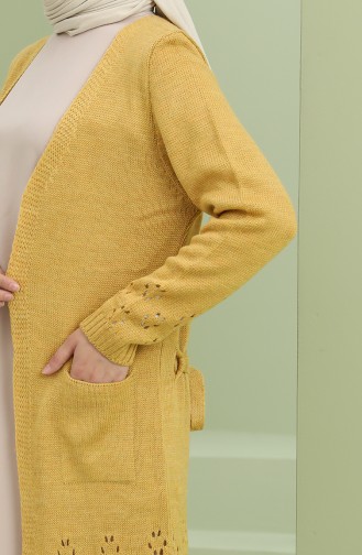 Mustard Cardigans 2011-05