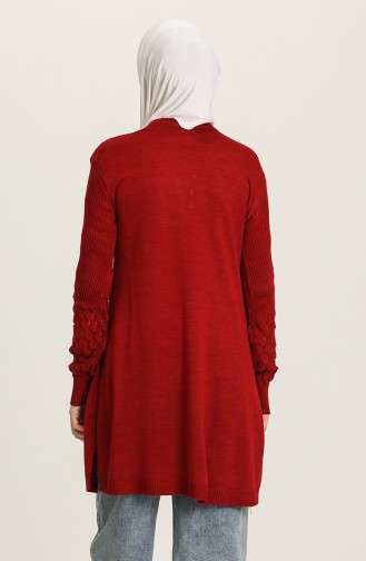 Claret Red Sweater 508-01
