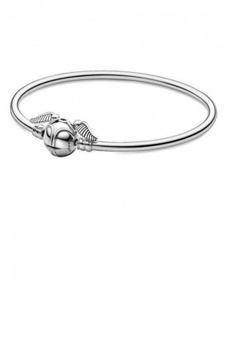 Bracelet Gris argenté 598619C00-19