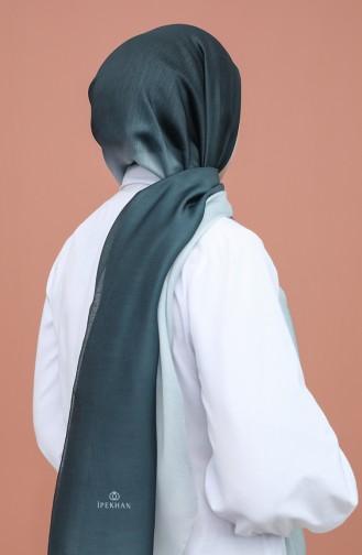 Smoke-Colored Shawl 2300-06