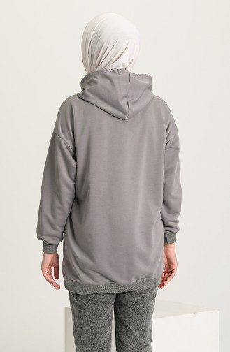 Gray Sweatshirt 5383-06
