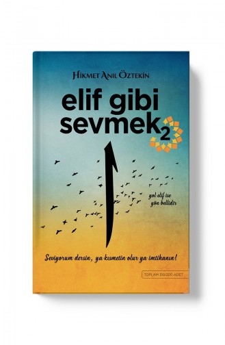 Hikmet Anıl Öztekin-Elif Gibi Sevmek 2