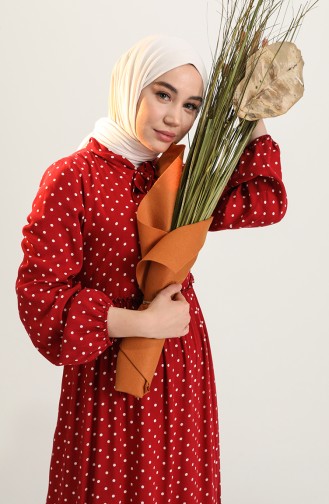 Claret Red Hijab Dress 60246-01