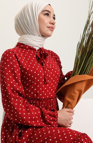 Claret Red Hijab Dress 60246-01