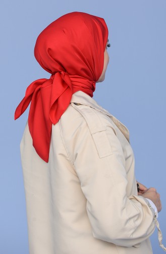 Red Scarf 19073-17