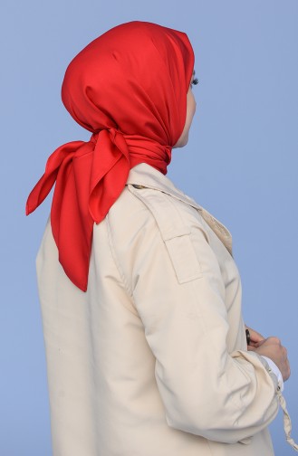 Red Hoofddoek 19073-17