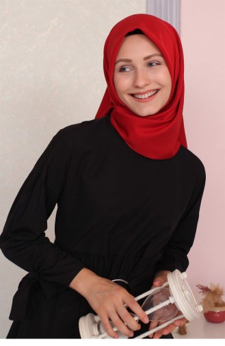 Red Scarf 39344