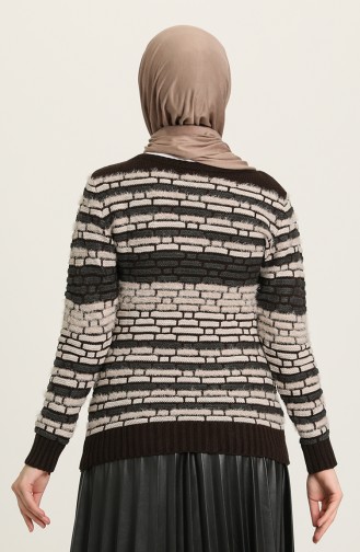 Braun Pullover 1701-08