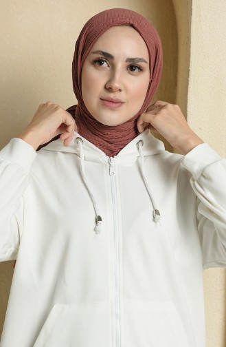 Cinnamon Color Shawl 1058-05