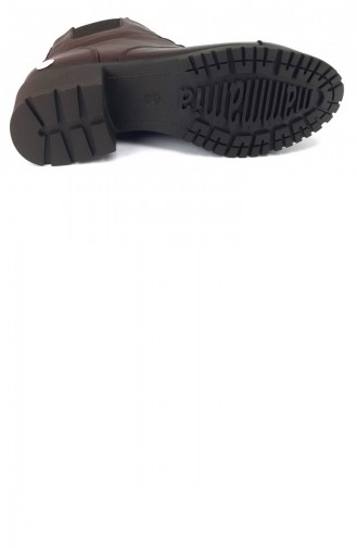 Bottes-Bottines Couleur Brun 8480