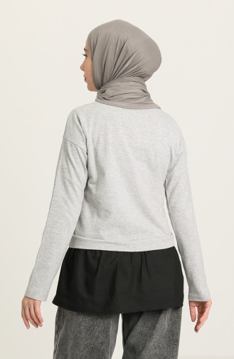 Gray Sweatshirt 3346-12