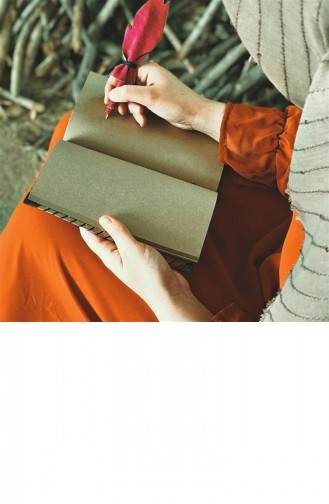Brown Schrijfbehoeften 3211