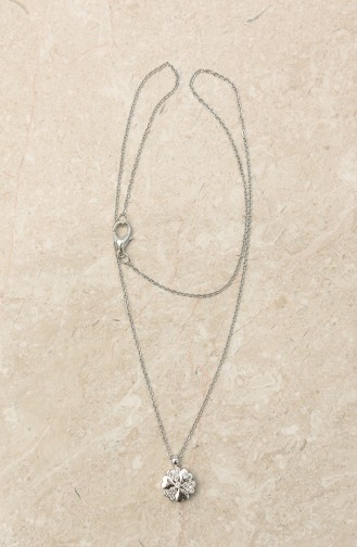 Collier Gris argenté 302-01