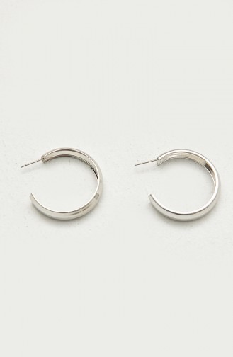 Silver Gray Earrings 1006