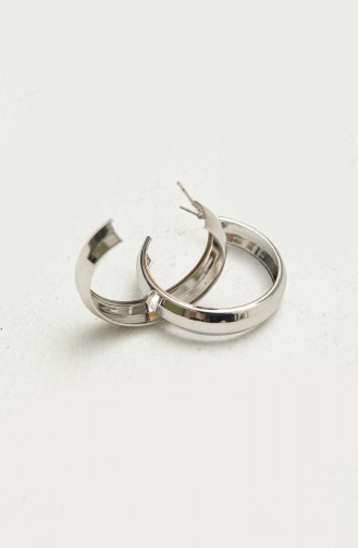 Silver Gray Earrings 1006