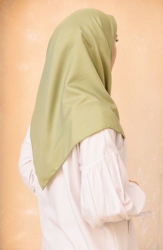 Green Almond Scarf 15285-02