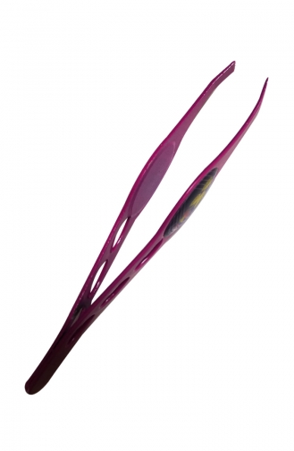Appareils de Soins Personnels Pourpre 1316-01