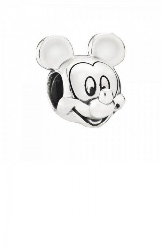 Bracelet Gris argenté 791586