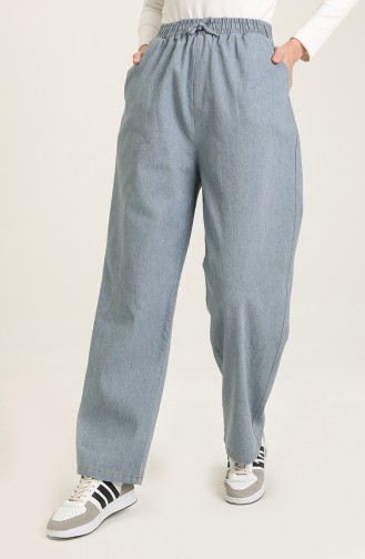 Pantalon Bleu Glacé 3601A-01