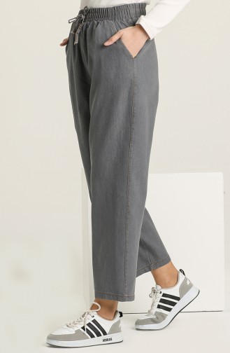 Gray Pants 3601B-05