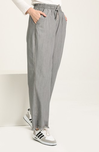 Pantalon Gris clair 3602B-02