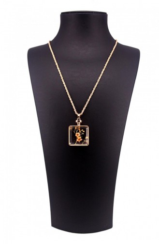 Gold Necklace 9853000016905