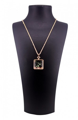 Gold Necklace 9853000016967