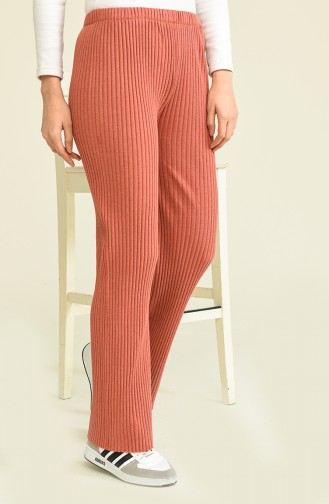 Pantalon Couleur brique 1330-06