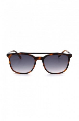  Sunglasses 01.L-02.00193