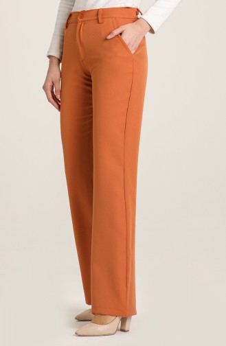 Pantalon Couleur cannelle 6555-06