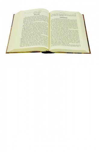  Magazine - Book 3382