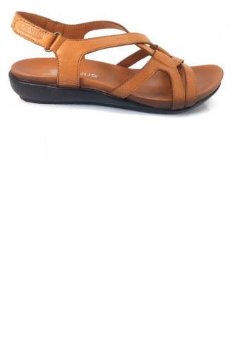 Sandales D`été Tabac 11438