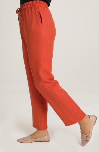 Pantalon Couleur brique 6101-07