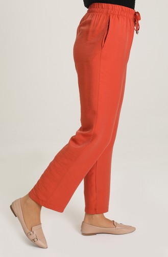 Pantalon Couleur brique 6101-07