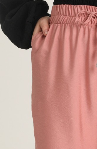 Beige-Rose Hose 6101-14
