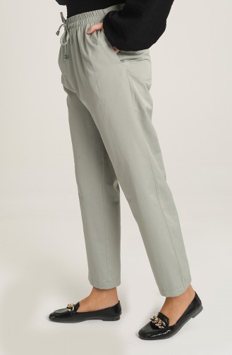 Pantalon Vert noisette 6102-07