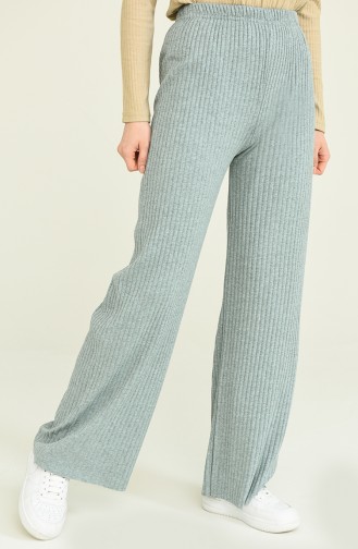 Smoke-Colored Pants 1330-13