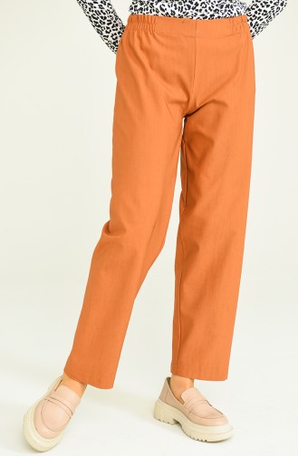 Pantalon Tabac 2062-29