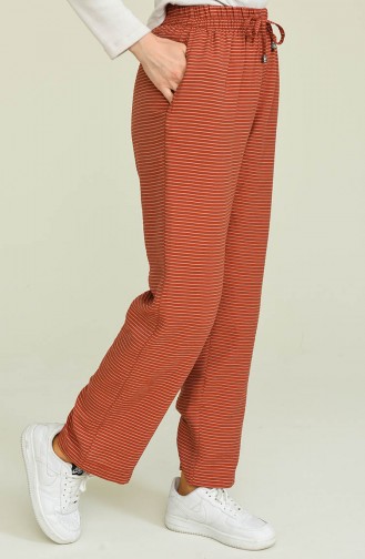 Pantalon Couleur brique 6105-06