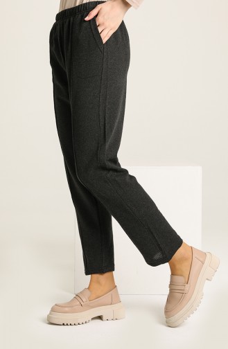 Anthracite Pants 8437-01