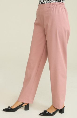 Pantalon Poudre Foncé 1983-42