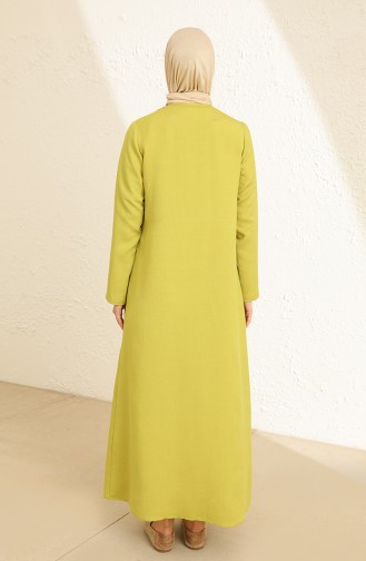 Pistaziengrün Abayas 6824-12