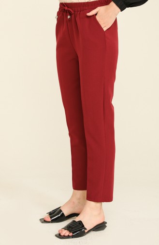 Claret Red Pants 2399-02