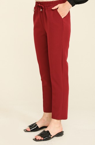 Claret red Broek 2399-02